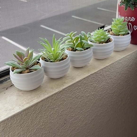 NEW Set of 6 Succulents Plants Artificial in Pots Small Fake Plants. - Picture 6 of 9